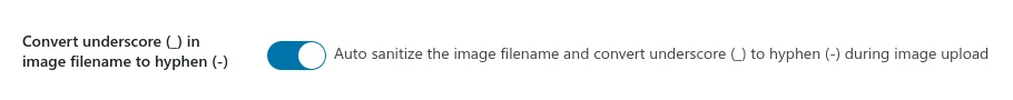 Activate Underscore To Hyphen