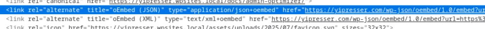 Check Oembed Link Frontend